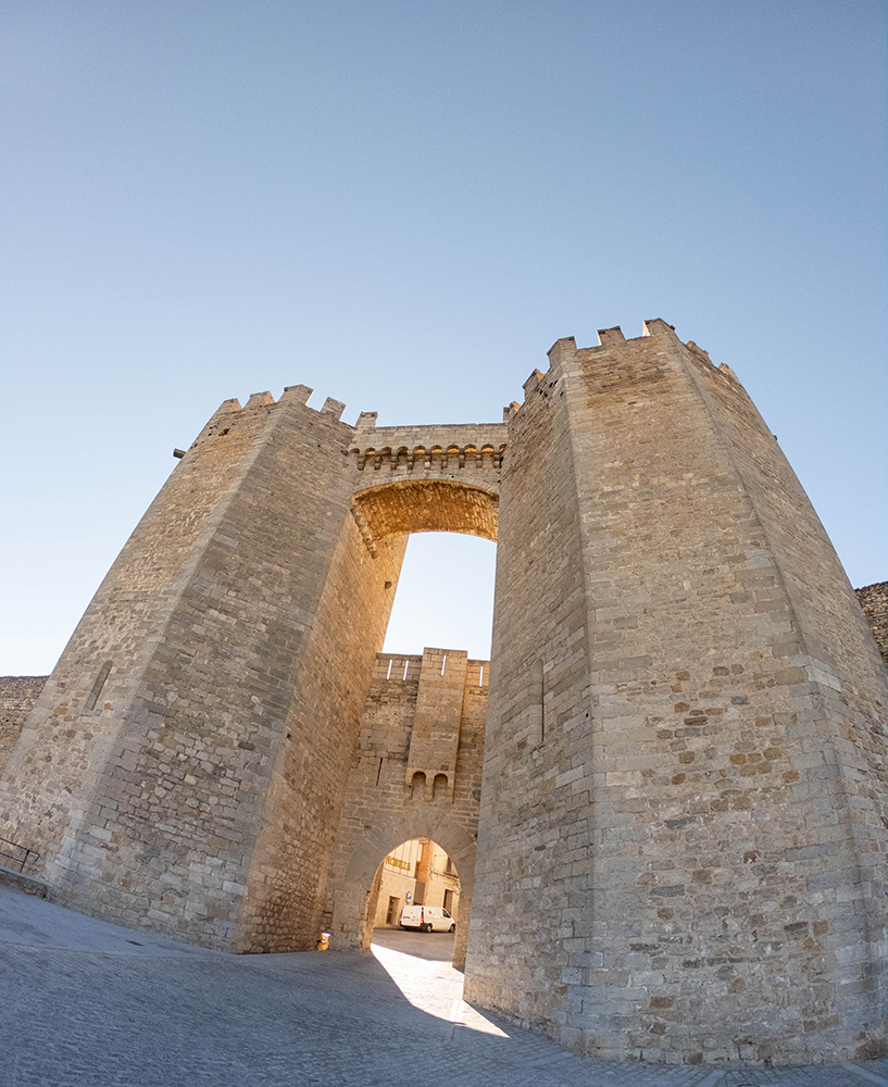 Morella