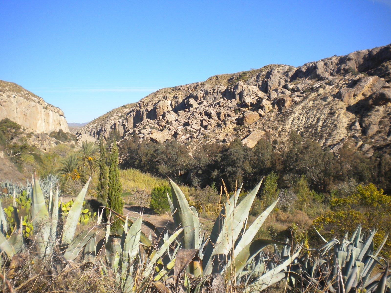 The oasis canyon at Los Molinos del Río Aguas