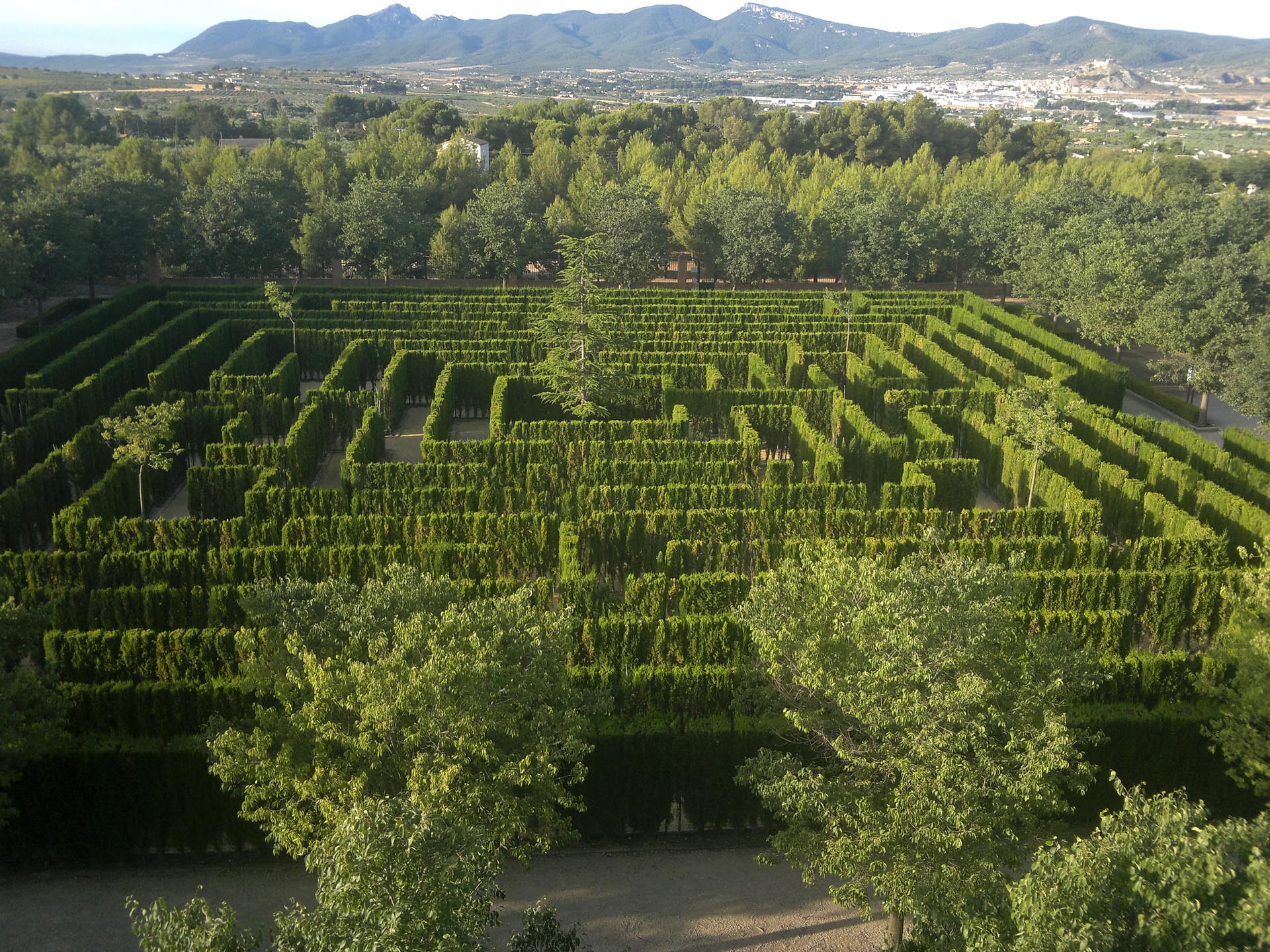 Casa Tápena hedge maze