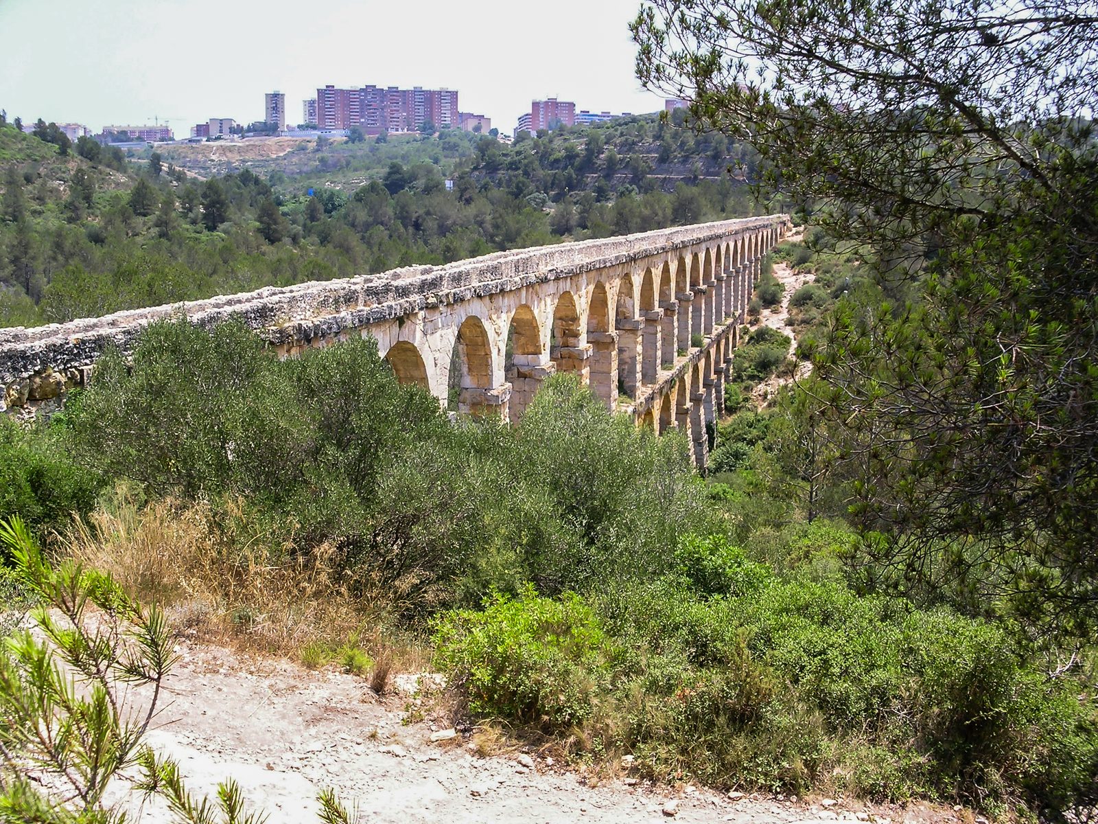 Pont del Diable seen through the pine forest