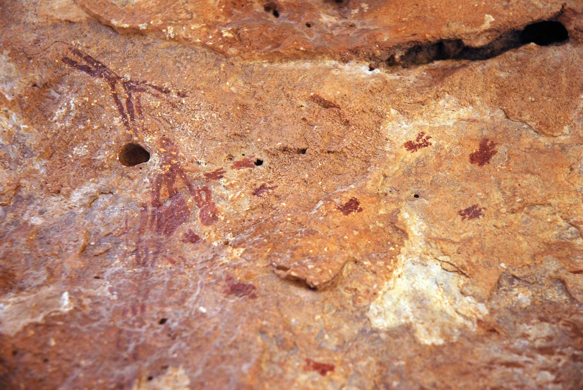 Cuevas de la Araña rock shelter